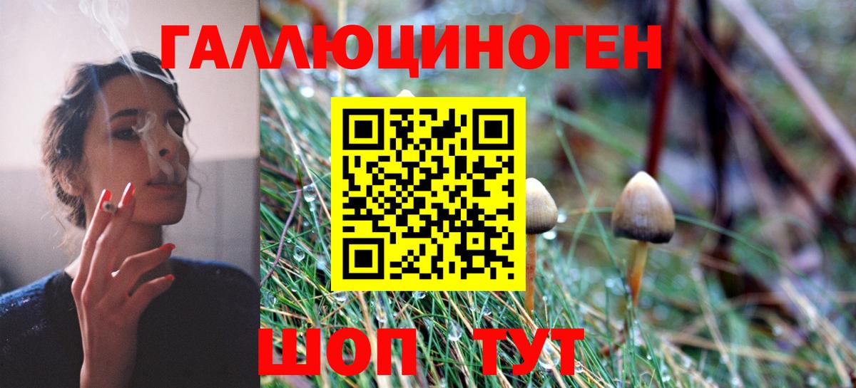 Псилоцибиновые грибы MAGIC MUSHROOMS  Вход с VPN  Казань 